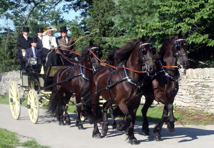 carriagefestival