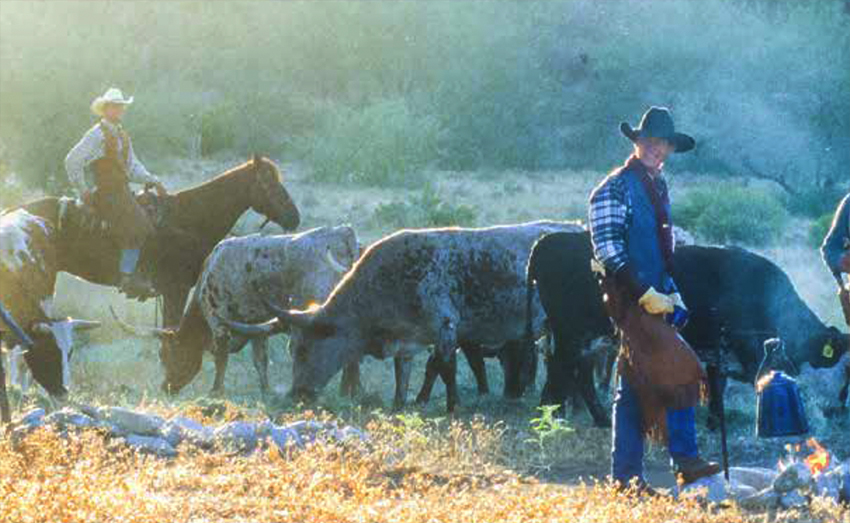 chuckwagon
