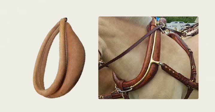 harness dual