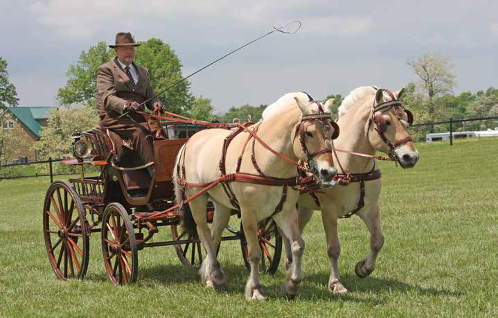 measurebridle