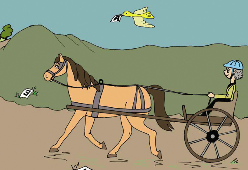 recreationaldressage