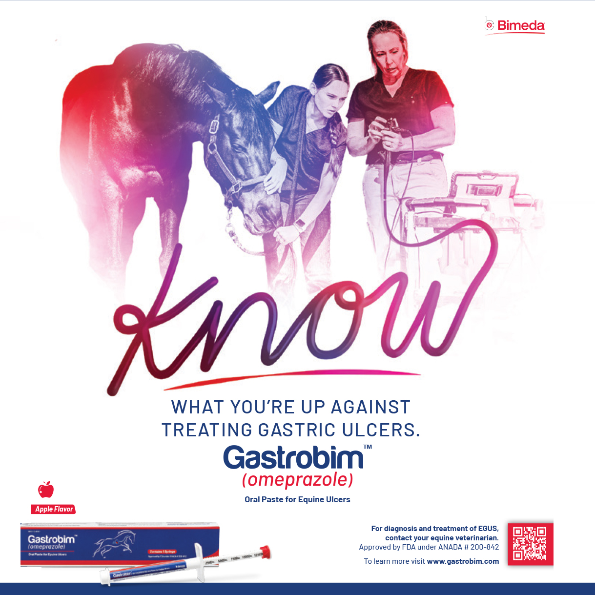 Gastrobim