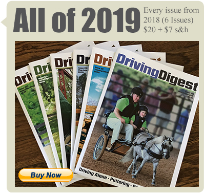 allof2019 box