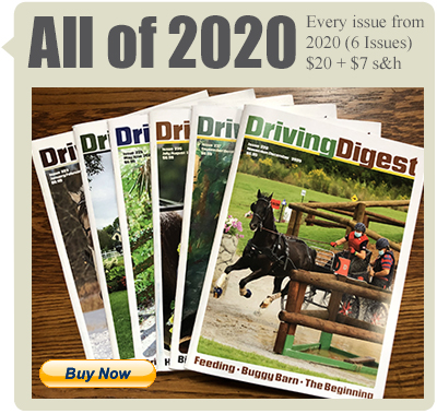 allof2020b box