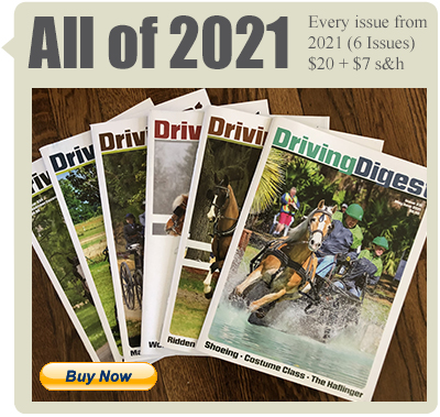 allof2021 box