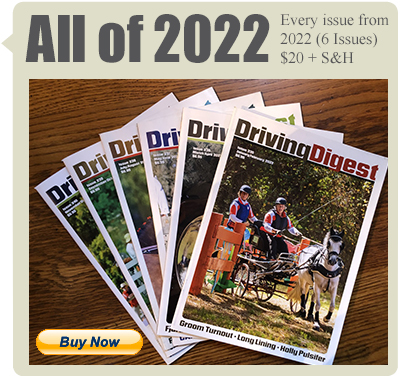 allof2022 box