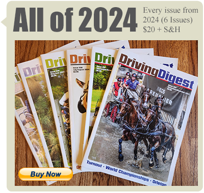 allof2024 box