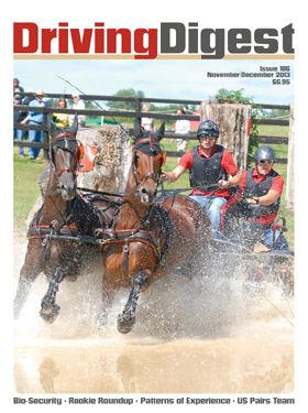 cover issue186