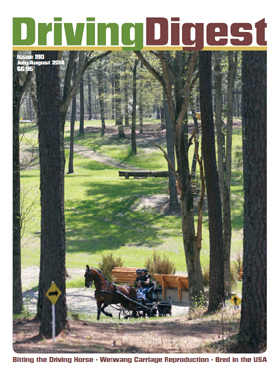 cover issue190