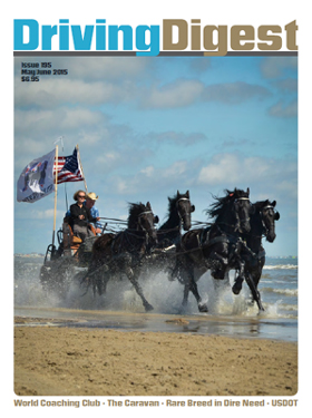 cover issue195