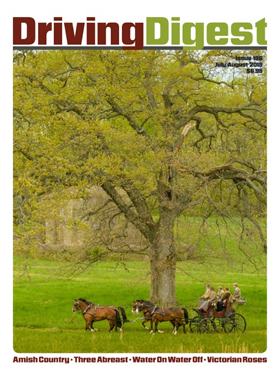 cover issue196