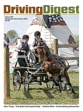 cover issue198
