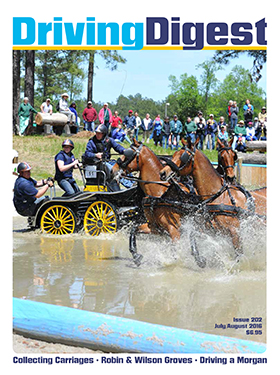 cover issue202