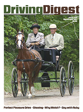 cover issue206