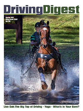 cover issue207