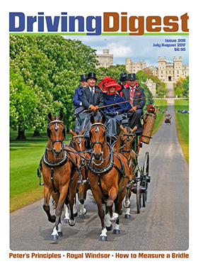 cover issue208