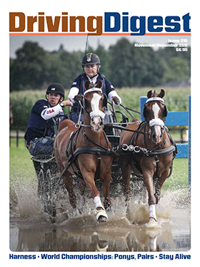 cover issue210