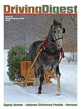 cover issue211