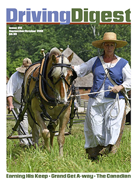 cover issue215