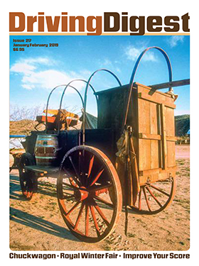 cover issue216
