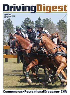 cover issue219