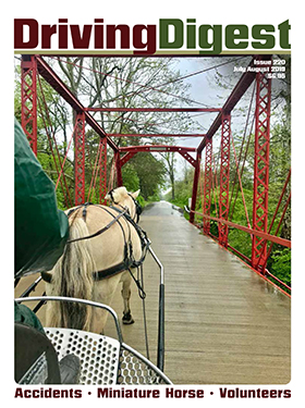 cover issue220