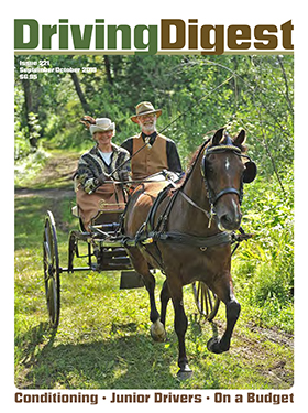 cover issue221