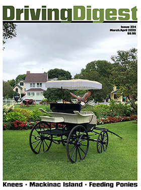 cover issue224