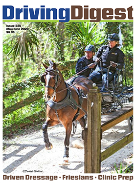 cover issue225