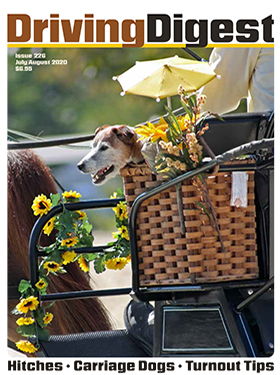 cover issue226
