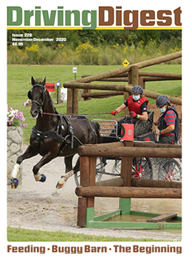 cover issue228