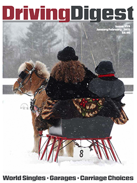 cover issue229