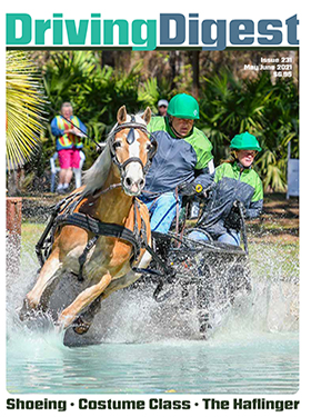 cover issue231