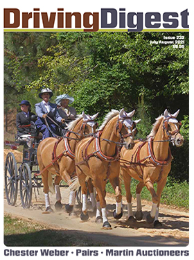 cover issue232
