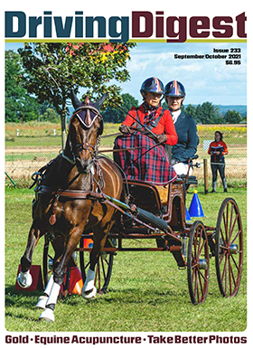 cover issue233