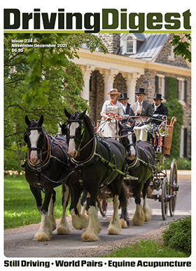 cover issue234