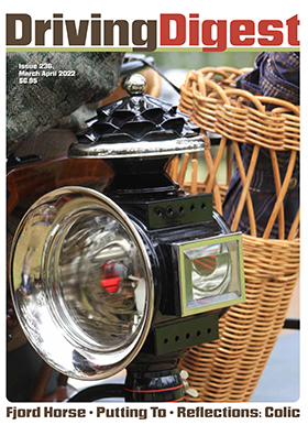 cover issue236b