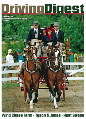 cover issue239