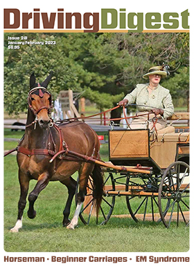 cover issue241
