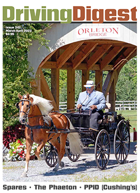 cover issue242