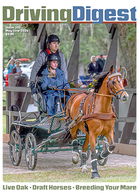 cover issue242