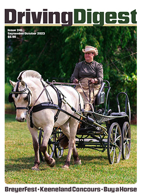 cover issue245