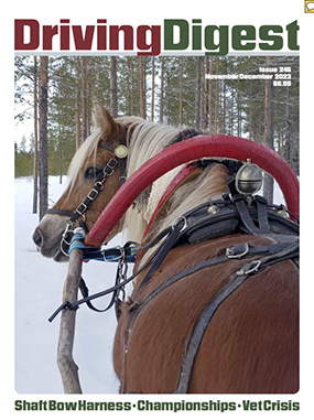 cover issue246