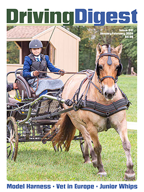 cover issue247