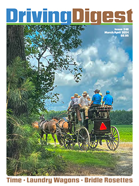 cover issue248