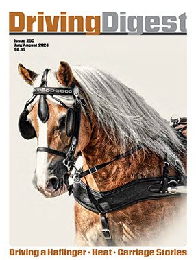 cover issue250