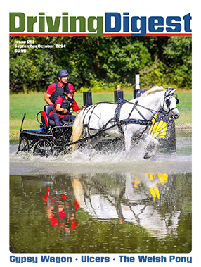 cover issue251