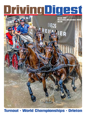 cover issue252