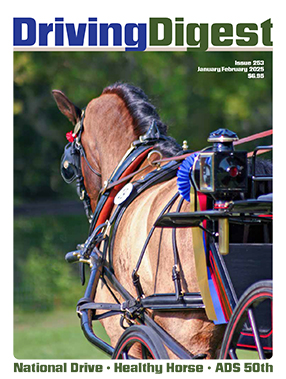 cover issue253