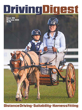 cover issue255